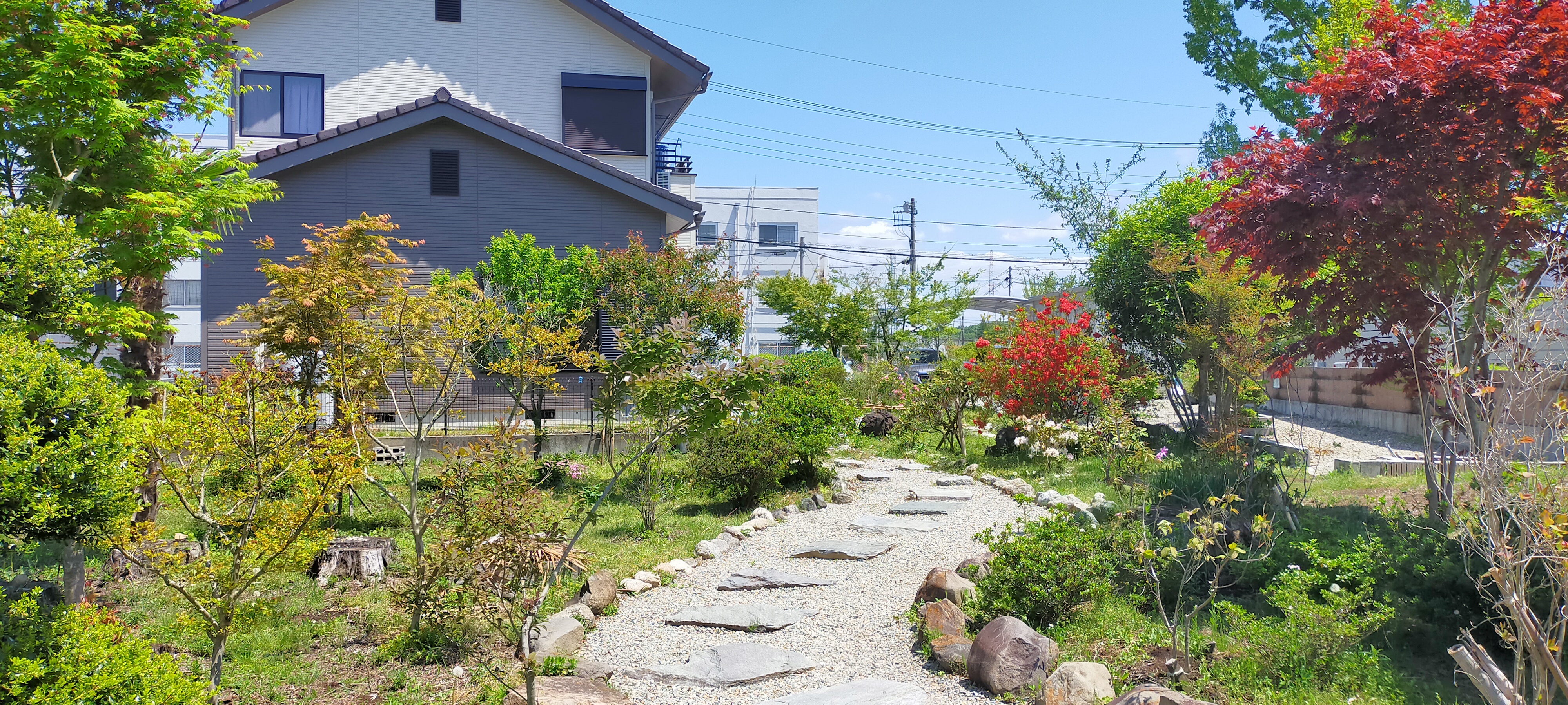 庭園の季節の風景