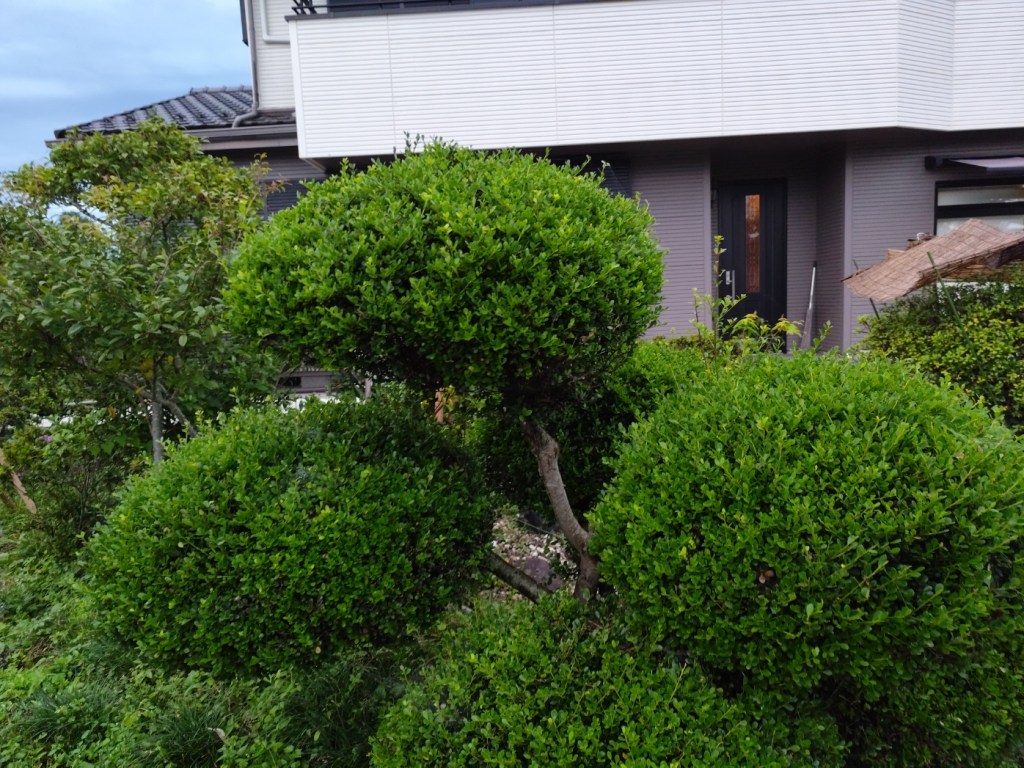 サロンでの風景またはヘアスタイル